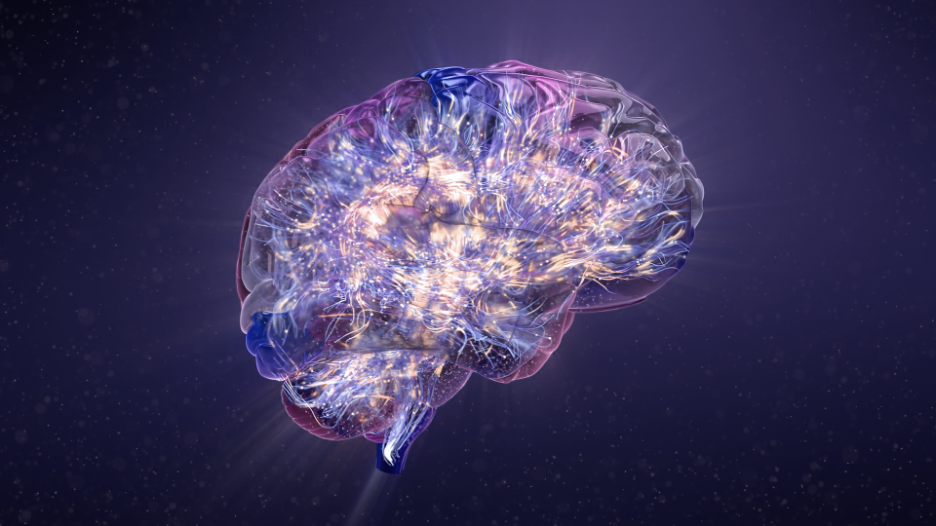 A glimpse inside the brain, © Fusion Animation, 2025